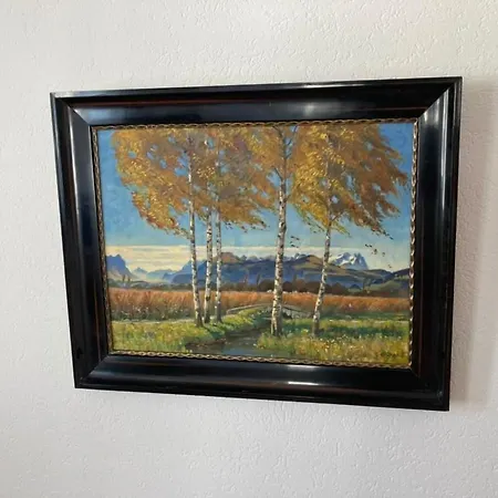 Appartement Euer Domizil Im Herzen Von Sg, Schweiz Altstätten