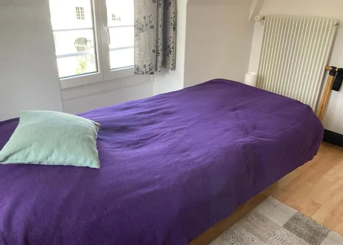 Euer Domizil Im Herzen Von Sg, Schweiz